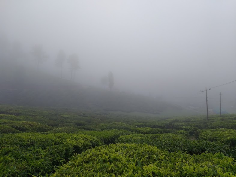 munnar camping ellapatty